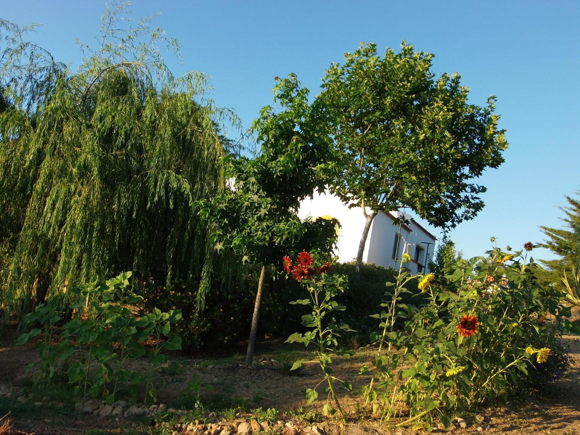 Ninho Da Poupa Guest House Serpa Exterior photo